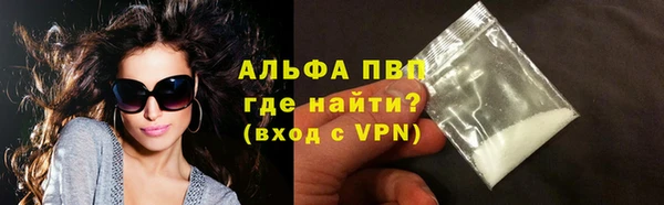 стаф Нея