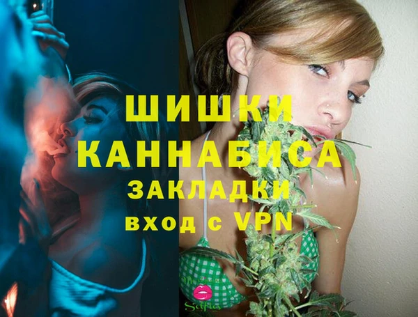 стаф Нея