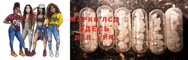 стаф Нея