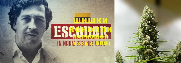 стаф Нея