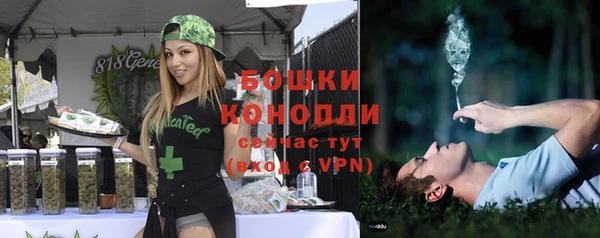 стаф Нея